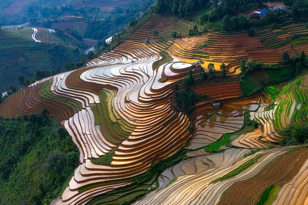 Рисовые террасы Mu Cang Chai